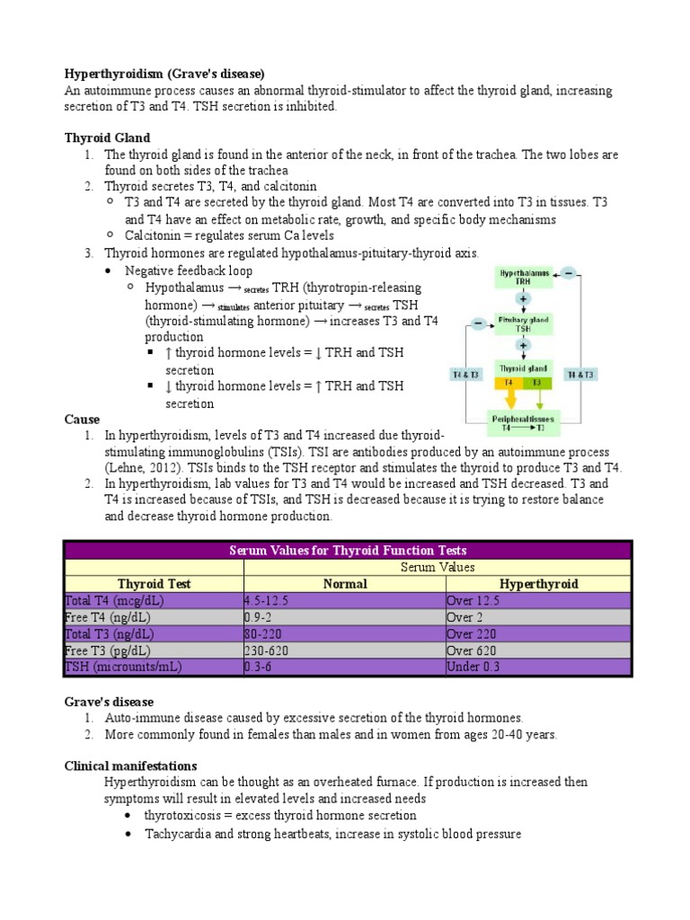 Understanding Hyperthyroidism and Grave's Disease | PDF | Thyroid ...