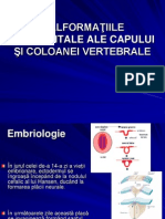 Malformaţiile Congenitale Ale Capului Şi Coloanei Vertebrale Ultima