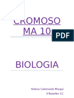 Cromosoma 10