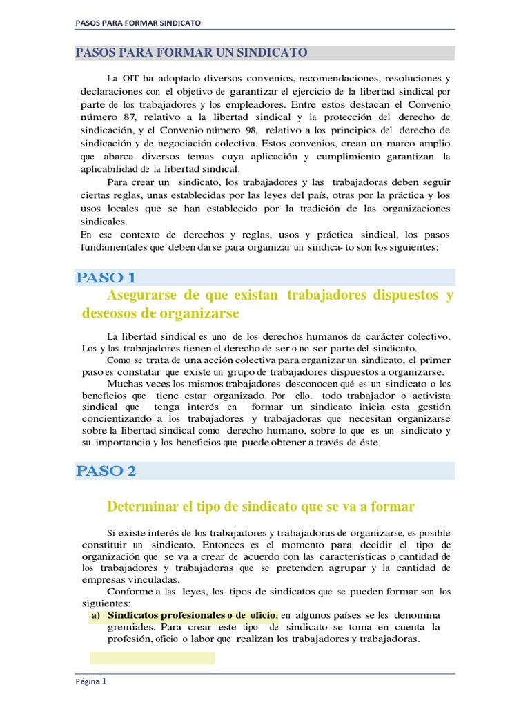 Cómo Formar un Sindicato: Guía Paso a Paso | PDF | Sindicato ...