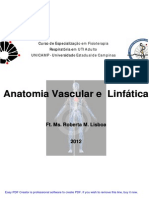 Anatomia Vascular e Linfatica [Modo de Compatibilidade]