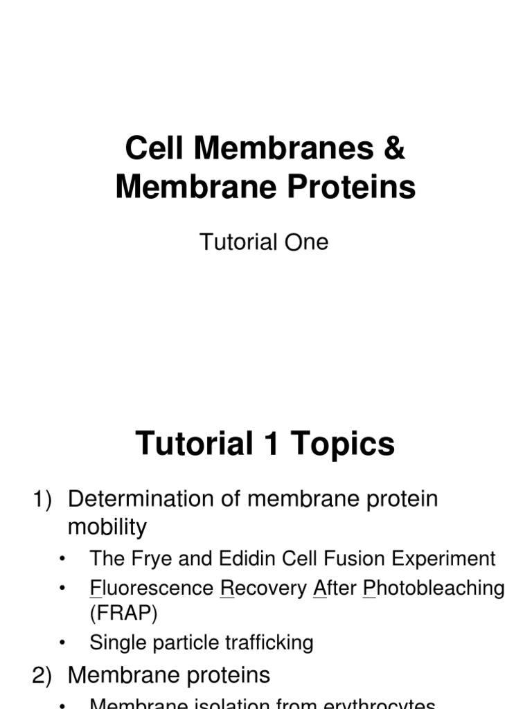 Cell Membranes & Membrane Proteins: Tutorial One | PDF | Gel ...
