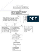 Digestion of Lipids1