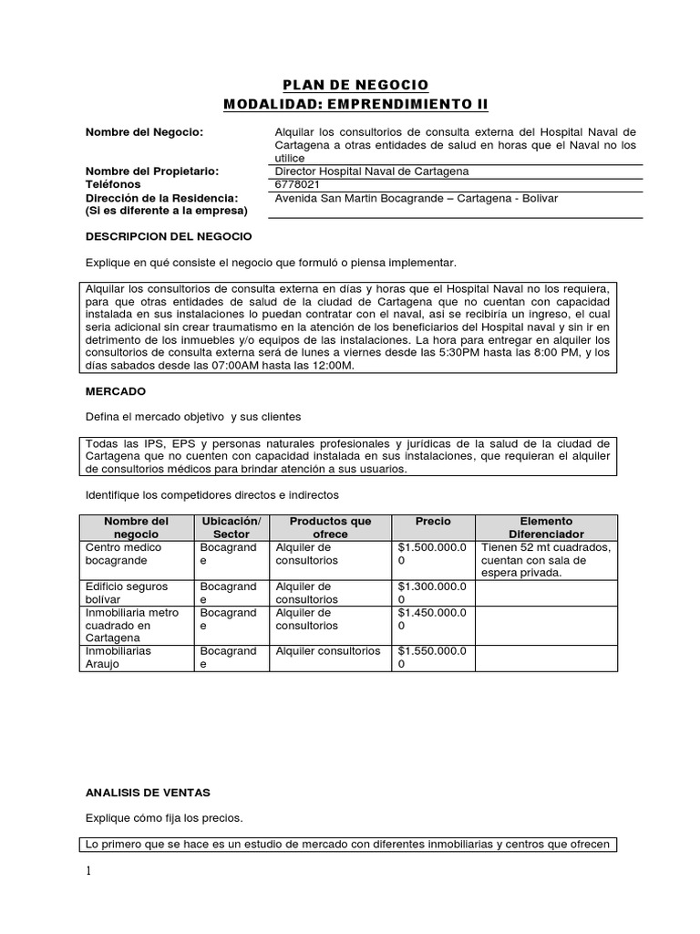 Formato Plan de Negocios (2)