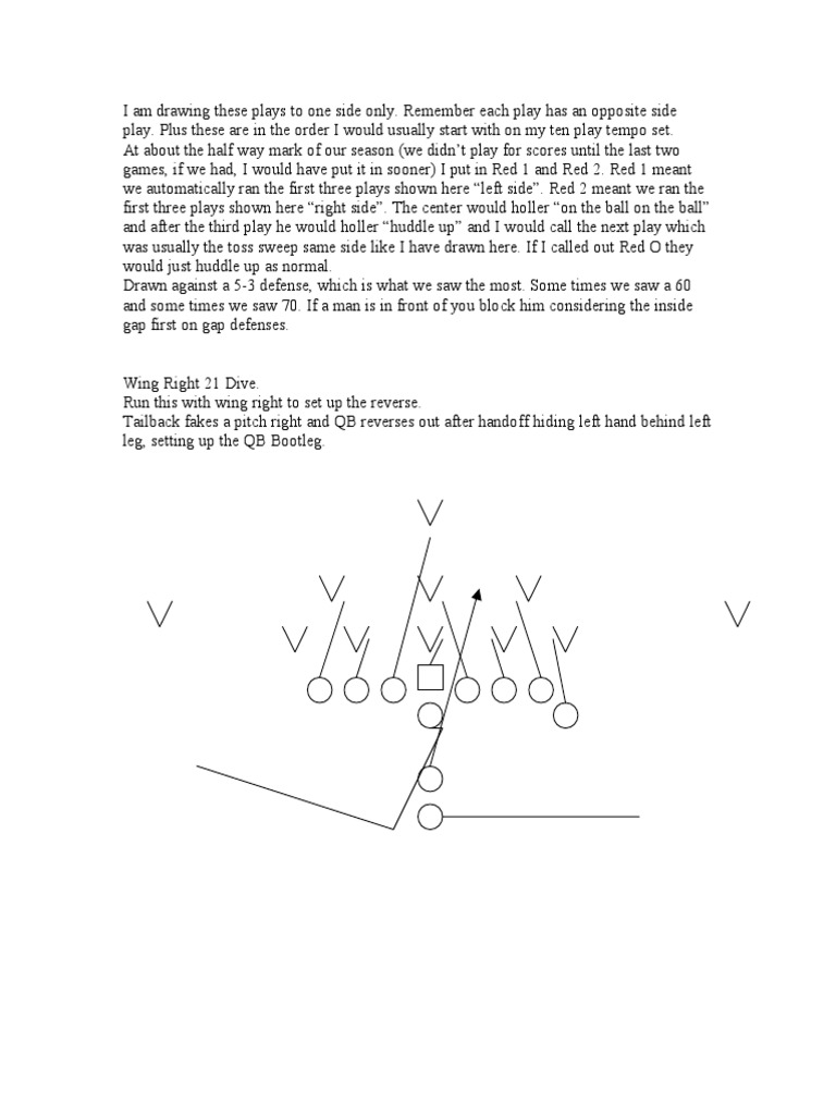 2002 Single Wing Playbook PDF