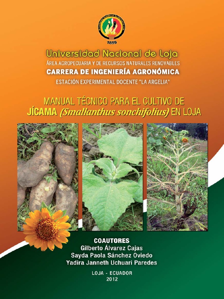 Manual Técnico de Jícama Siembra Suelo