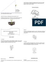 Clasificación de Las Plantas