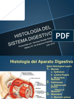 Histologia Del Tracto Digestivo