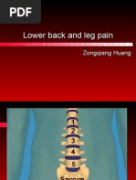 Download Degenerative disorders of lumbar spine by api-19916399 SN23472662 doc pdf