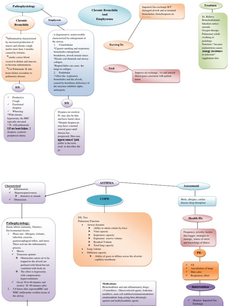 Asthma Med Surg HW 1 PDF Asthma Respiratory Tract