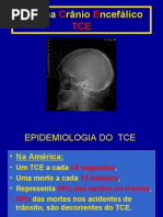 tce-100425124643-phpapp02