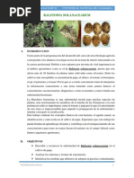 Download RALSTONIA SOLANACEARUM by Nilmer Mendoza Galan SN234736331 doc pdf