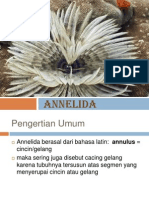 Annelida