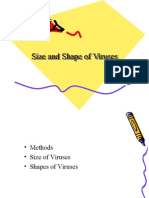 Size and Shape of Viruses