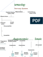 Peripheral Nervous System (PNS) Central Nervous System (CNS) Efferent Division Afferent Division