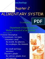 Alimentary System