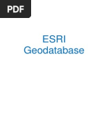 ESRI Geodatabase