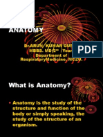 Anatomy: DR - Arun Kumar Gupta Mbbs. MD (2 Year) Department of Respiratorymedicine, Mczu