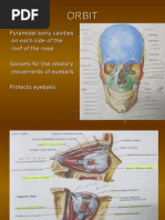 Seven Bones of the Eye Orbit | PDF | Human Nose | Skull