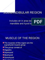 Submandibular Region