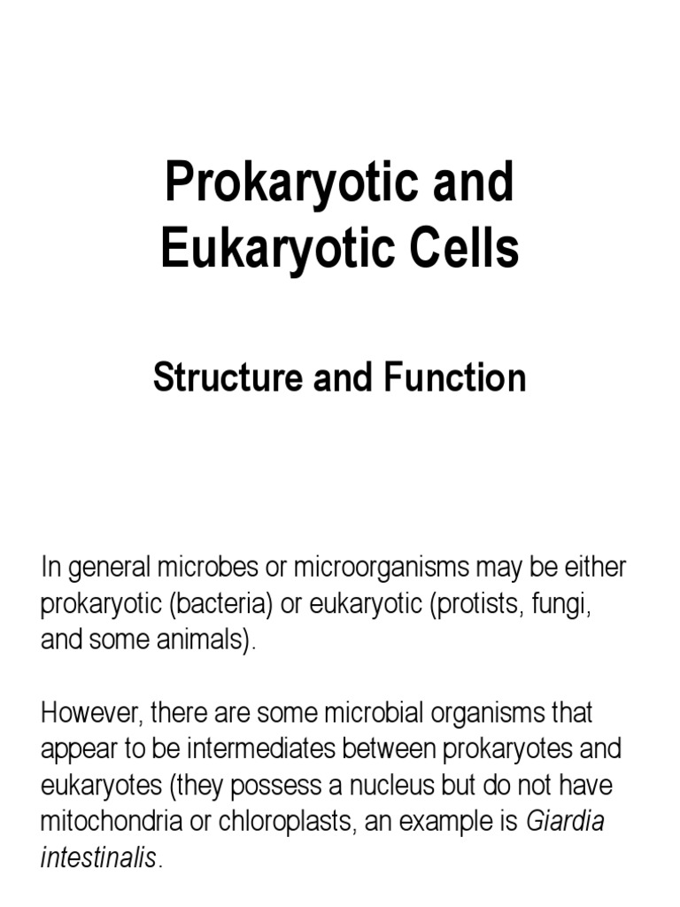 Prokaryotic vs Eukaryotic Cells Explained | PDF | Eukaryotes | Cell ...