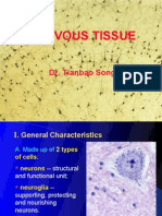 Nervous Tissue: Dr. Tianbao Song