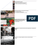 BD1 Prot PDF