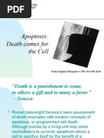 Download apoptosis by api-19916399 SN23475592 doc pdf
