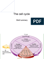 Cell Cycle (Brief Summary)