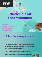 Nucleus and Chromosomes