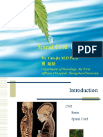 Spinal Cord Lesions: Jia Yan-Jie M.D PH.D