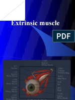 Extrinsic Muscle