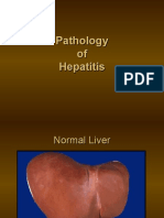 Download viral hepatitis by api-19916399 SN23476294 doc pdf