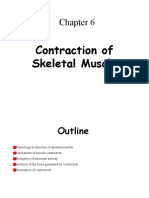 05.contraction of Skeletal Muscle
