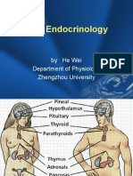 XIII Endocrinology