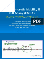 Electrophoretic Mobility Shift Assay (EMSA)AMS 501795