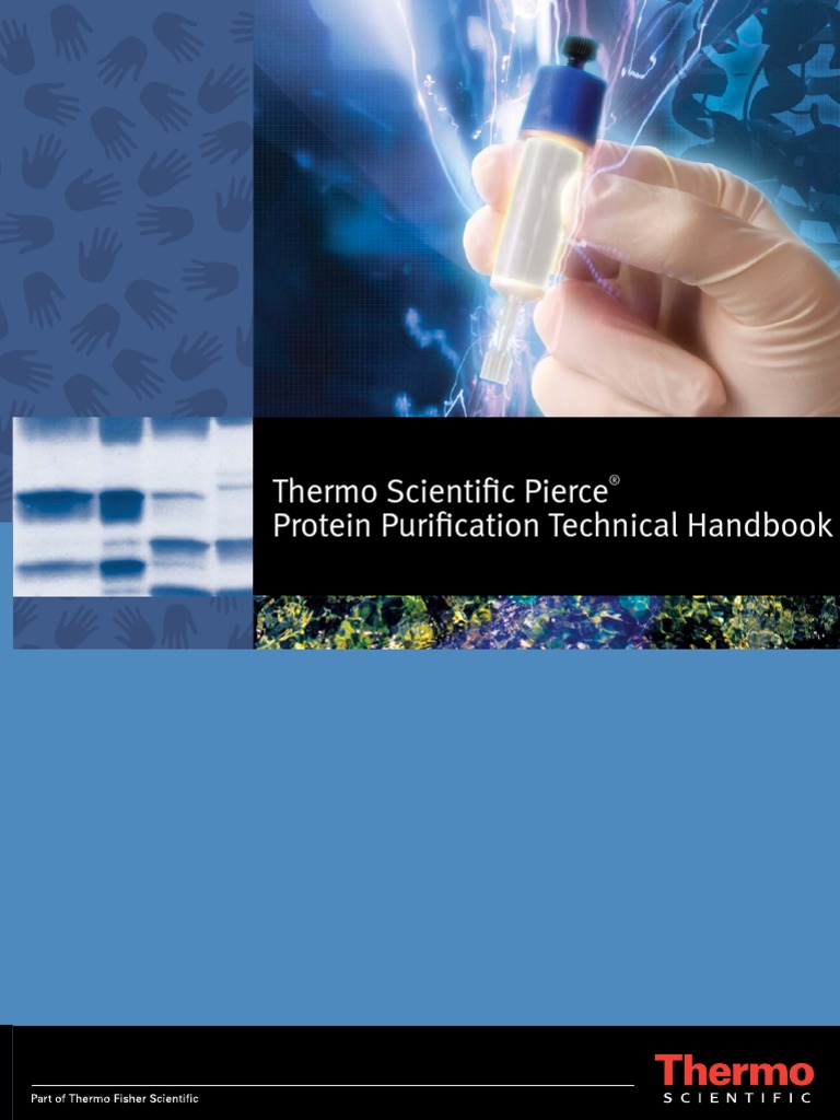 Protein Purification | PDF | Protein Purification | Immunoprecipitation