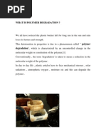 Download Degradation of Polyethylene  by Rishab Jain SN234771897 doc pdf