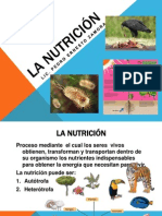Presentación Multimedia La Nutrición