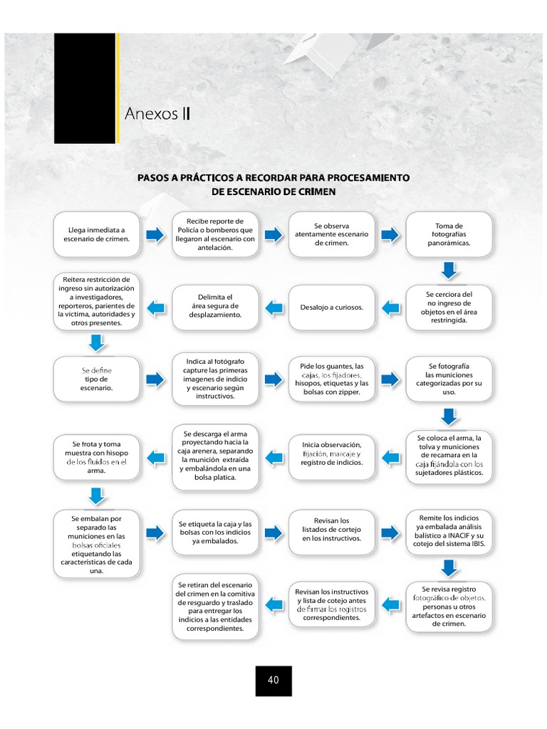 Procesamiento de La Escena Del Crimen | PDF