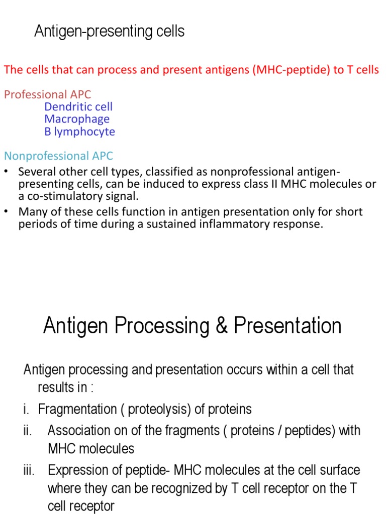 Antigen Presenting Cells Overview | PDF | Mhc Class I | Antigen