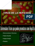 Taller de Hepatitis