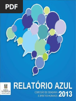 relatorioazul_2013