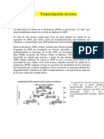 Transcripción Reversa I Microscopia Electronica