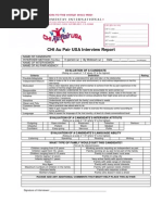 4. CHI Au Pair USA Interview Report
