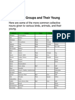 Animal Groups and Their Young