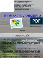 Trabajo de Biomas de Venezuela. Ana Sánchez