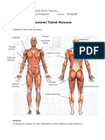 Anatomi Tubuh Manusia (ROHAYANTI)
