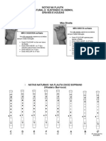 FLAUTA Notas naturais e alteradas