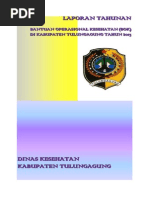 Download Laporan BOK 2013 by bangun SN234831844 doc pdf